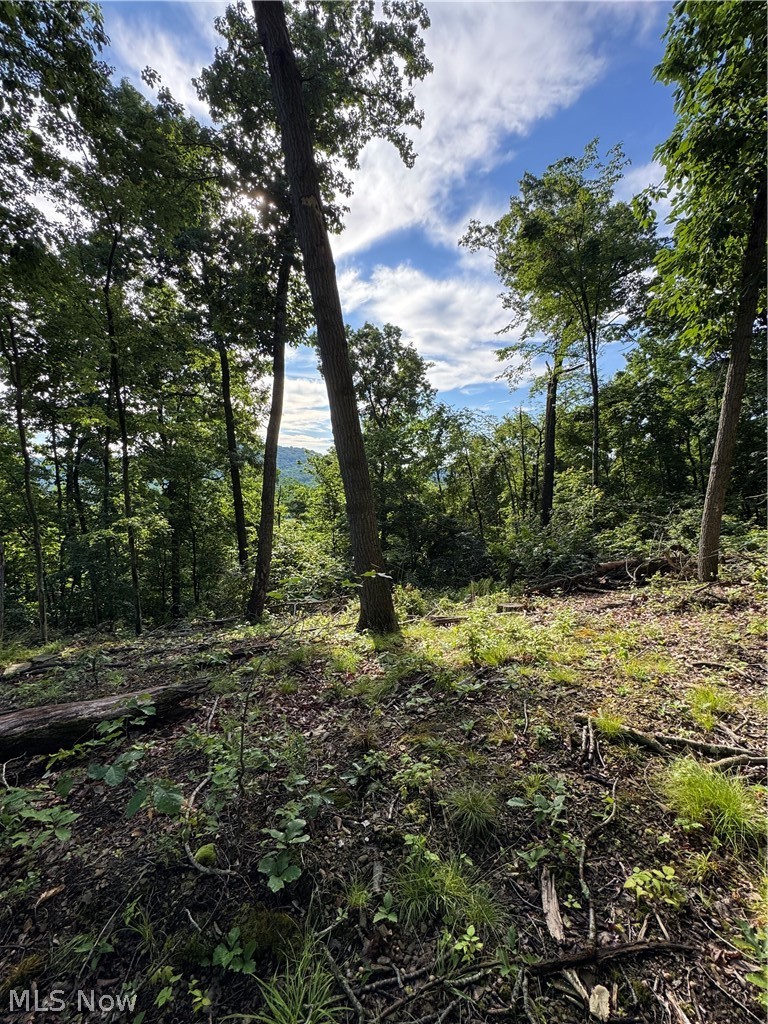 Stone Quarry Road Property Photo 3
