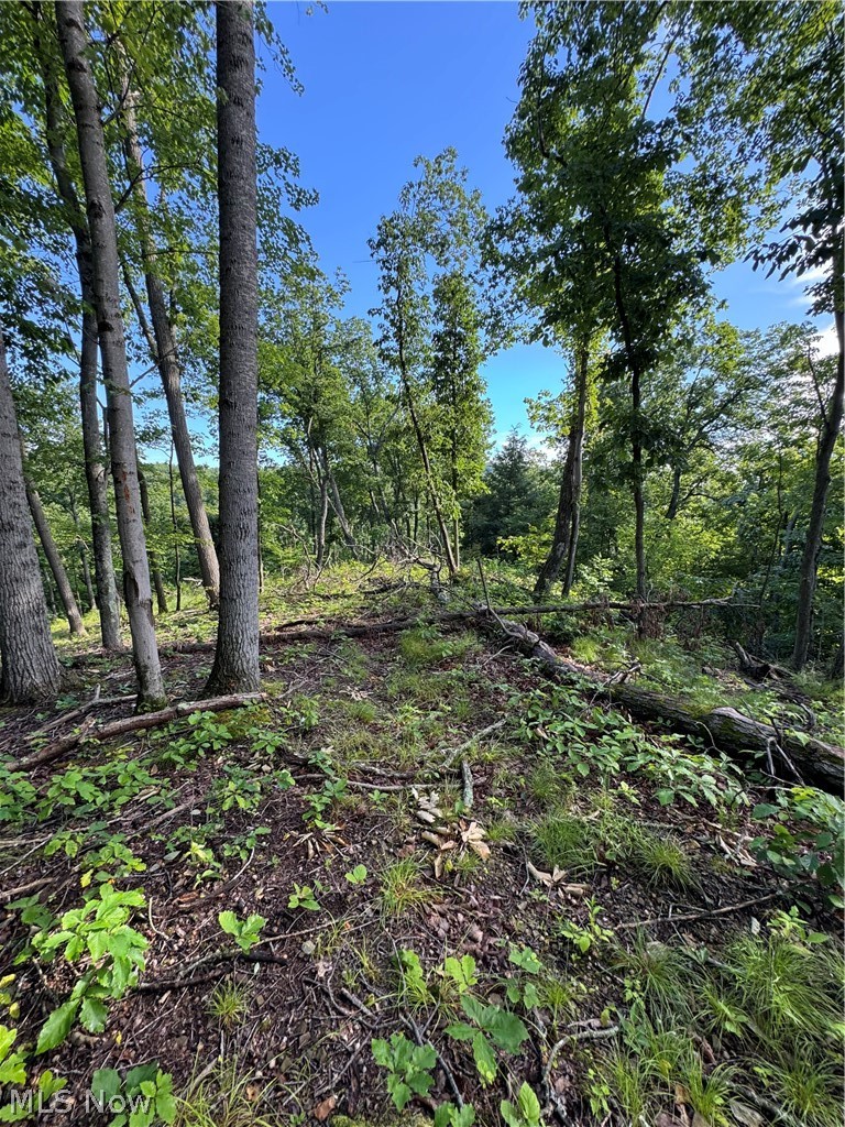 Stone Quarry Road Property Photo 4