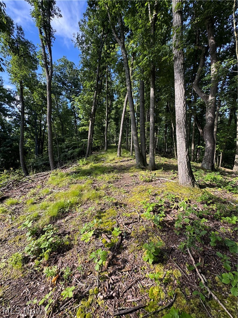 Stone Quarry Road Property Photo 5