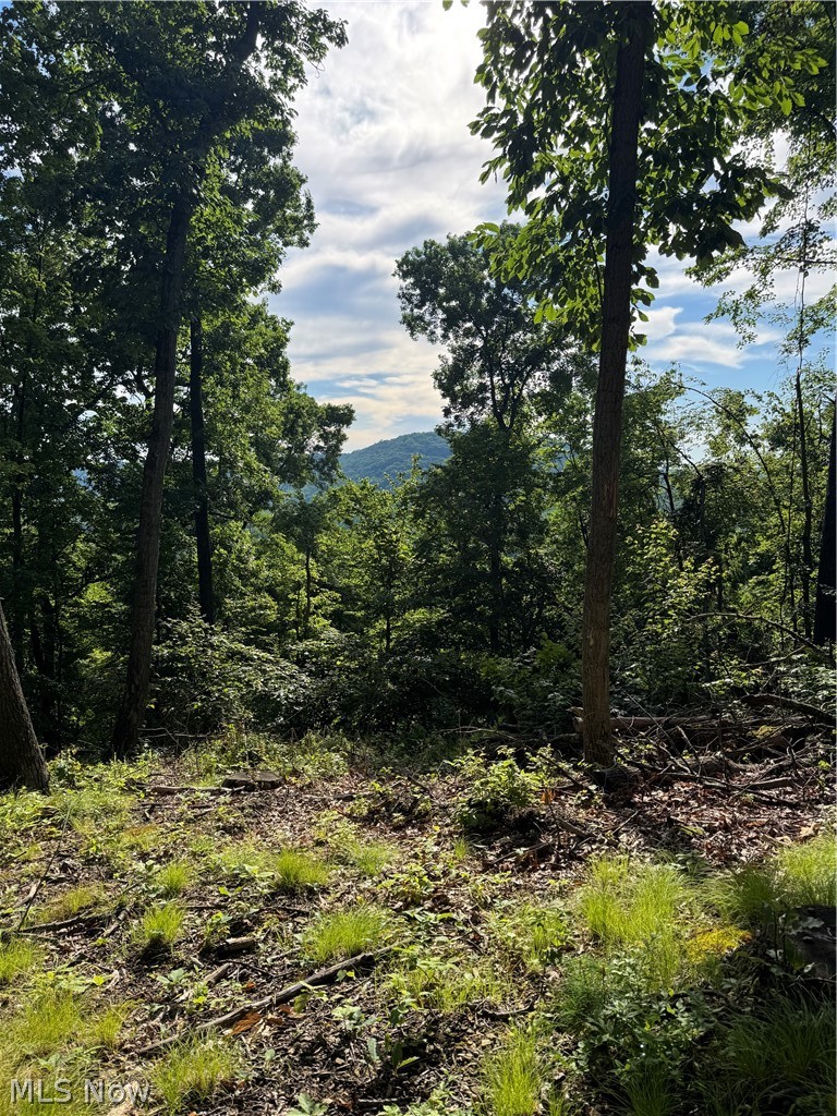 Stone Quarry Road Property Photo 6