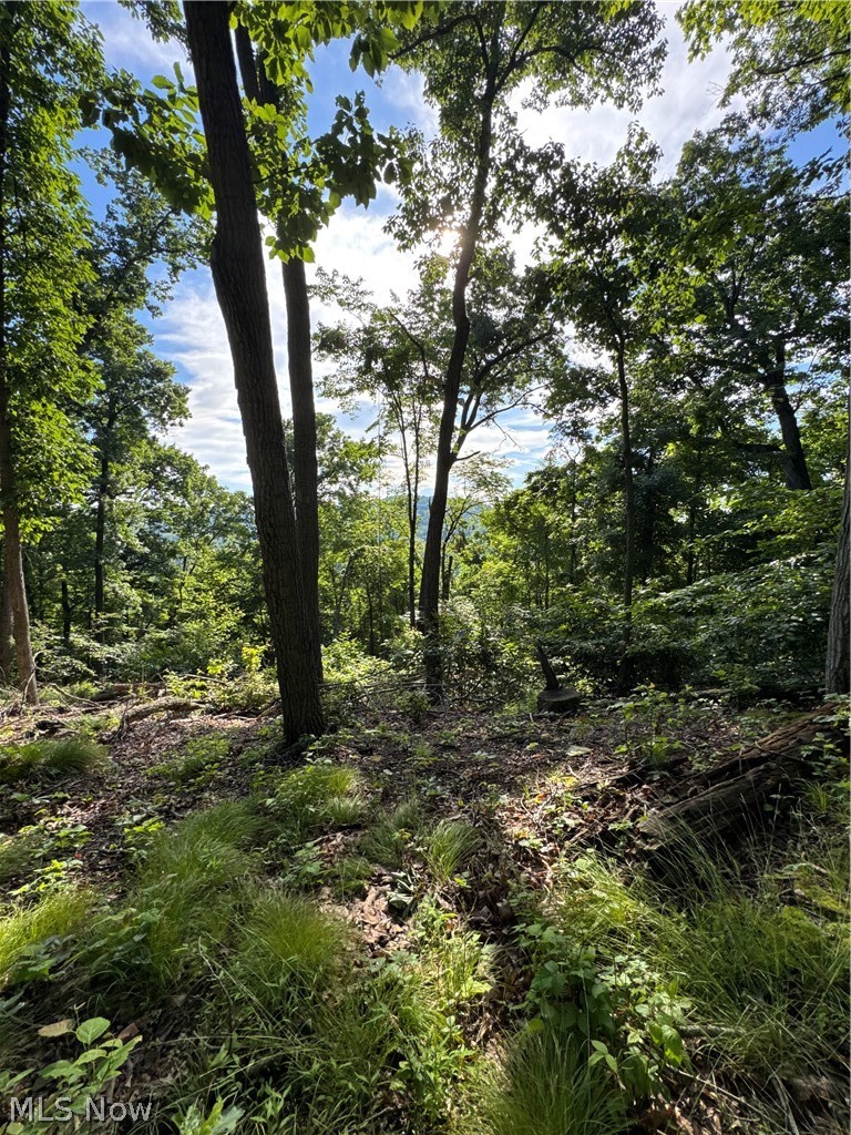 Stone Quarry Road Property Photo 7