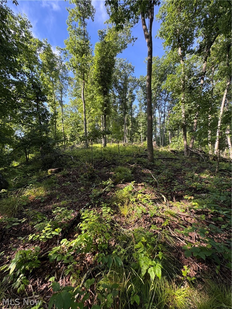 Stone Quarry Road Property Photo 8