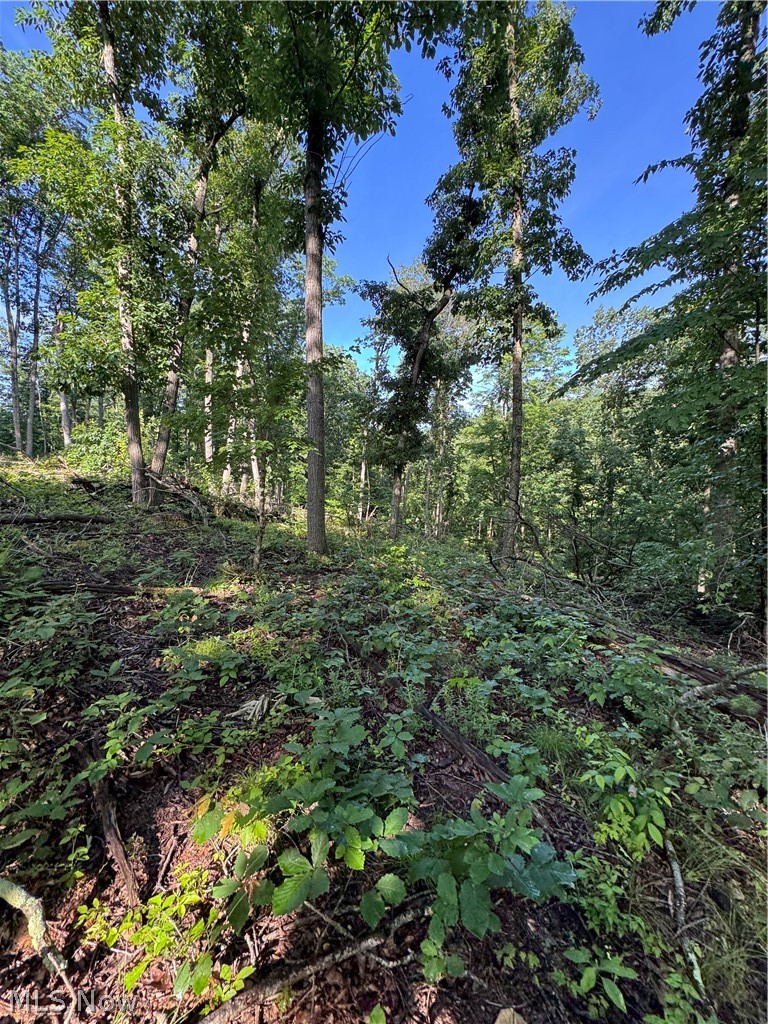 Stone Quarry Road Property Photo 9
