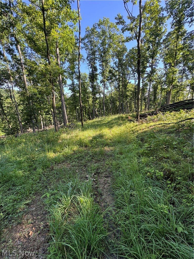 Stone Quarry Road Property Photo 10
