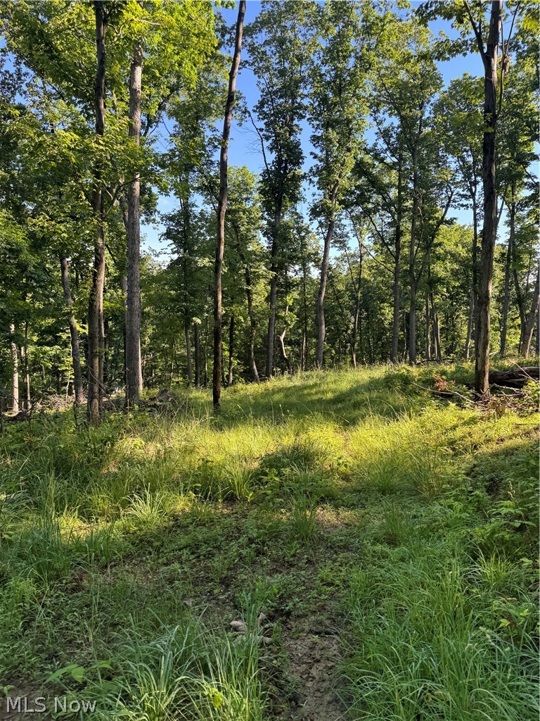 Stone Quarry Road Property Photo 11