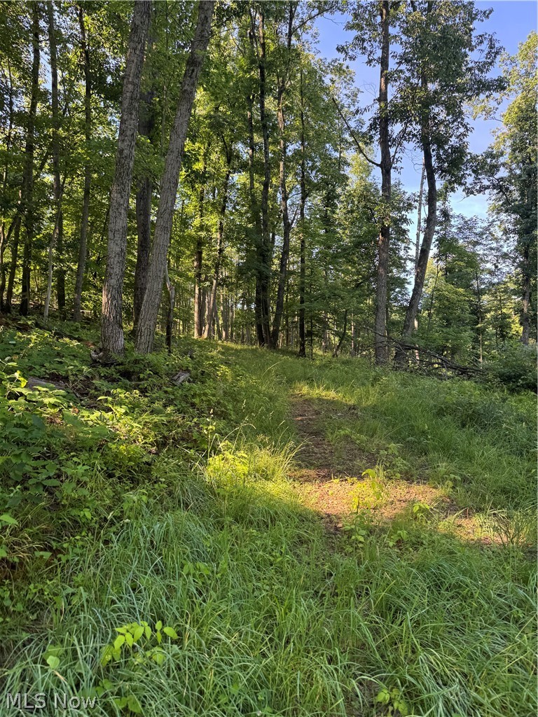 Stone Quarry Road Property Photo 12
