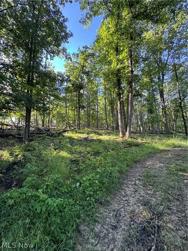 Stone Quarry Road Property Photo 13