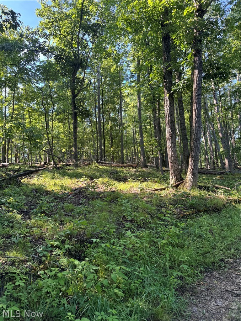 Stone Quarry Road Property Photo 14
