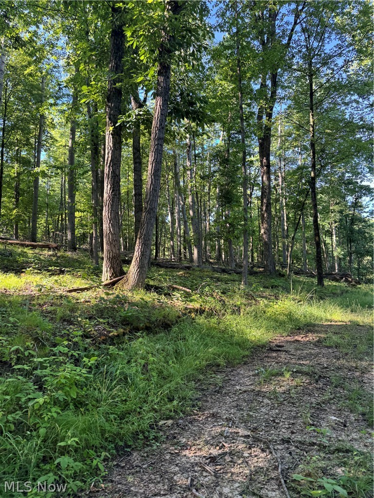 Stone Quarry Road Property Photo 15