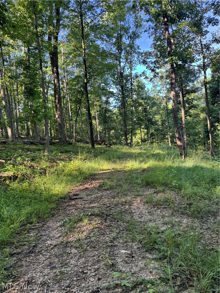 Stone Quarry Road Property Photo 16