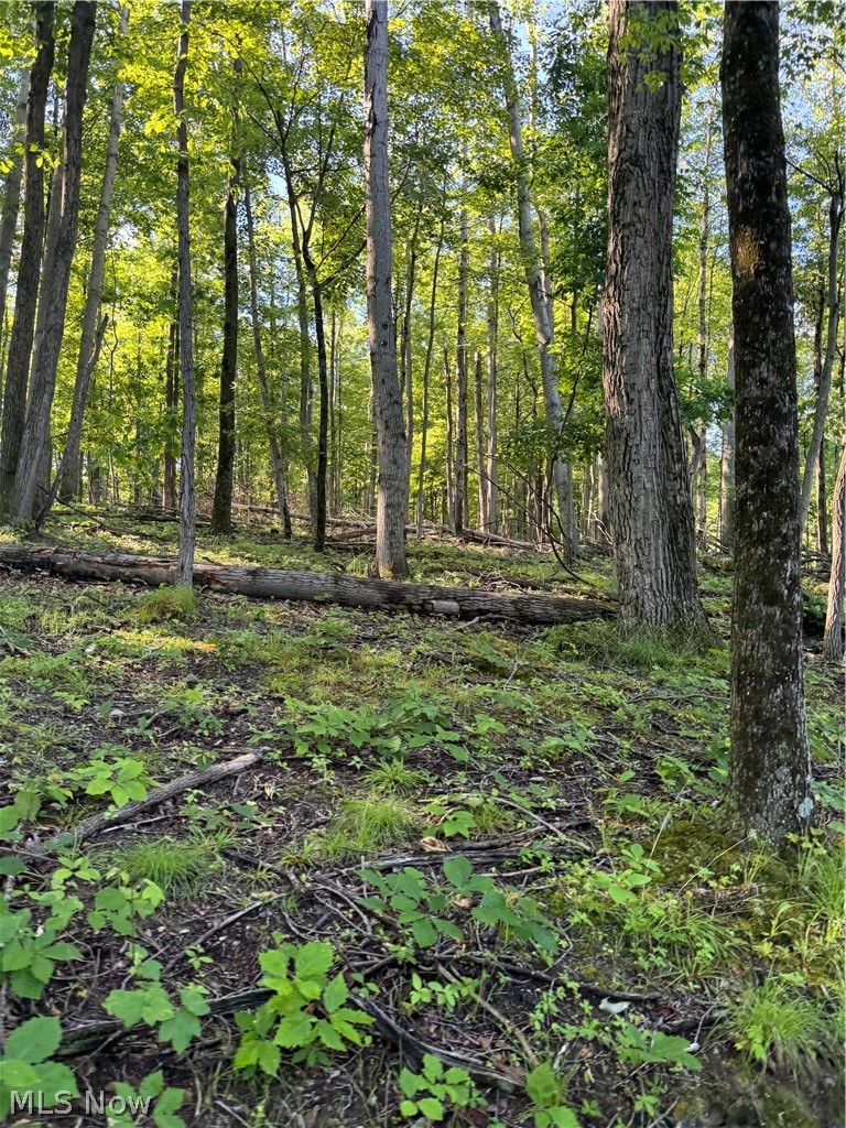 Stone Quarry Road Property Photo 17