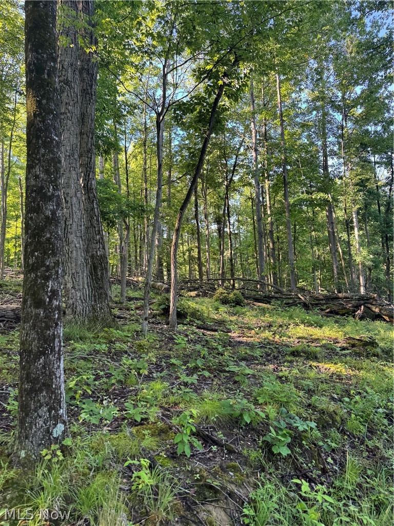 Stone Quarry Road Property Photo 18