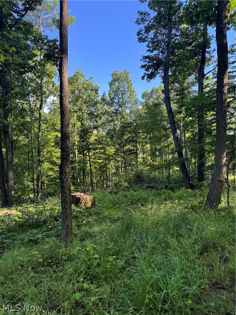 Stone Quarry Road Property Photo 19