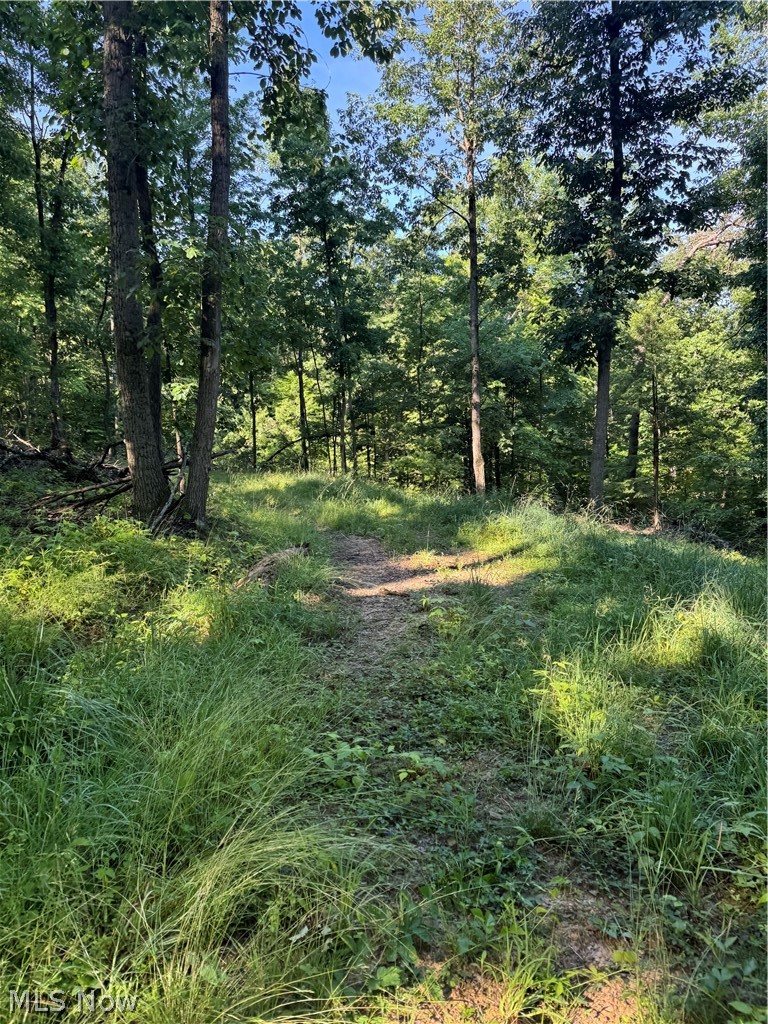 Stone Quarry Road Property Photo 20