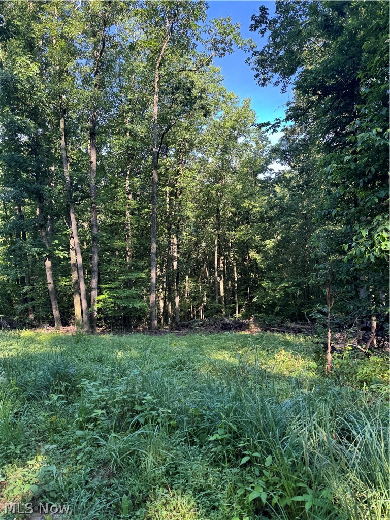 Stone Quarry Road Property Photo 21
