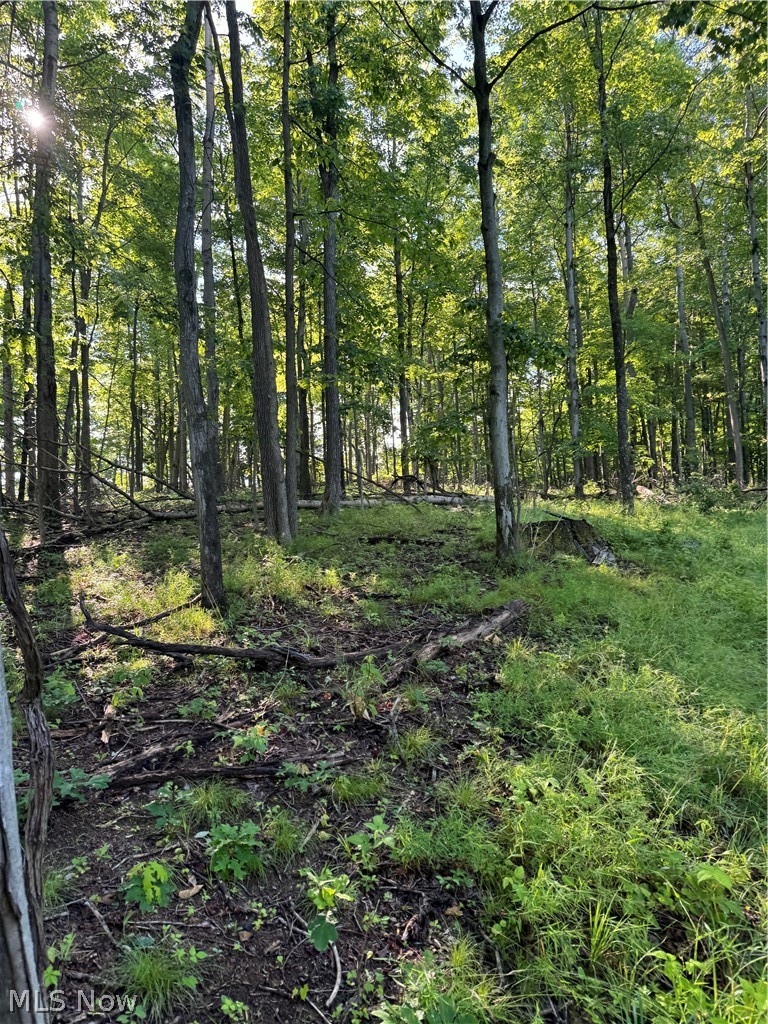 Stone Quarry Road Property Photo 22