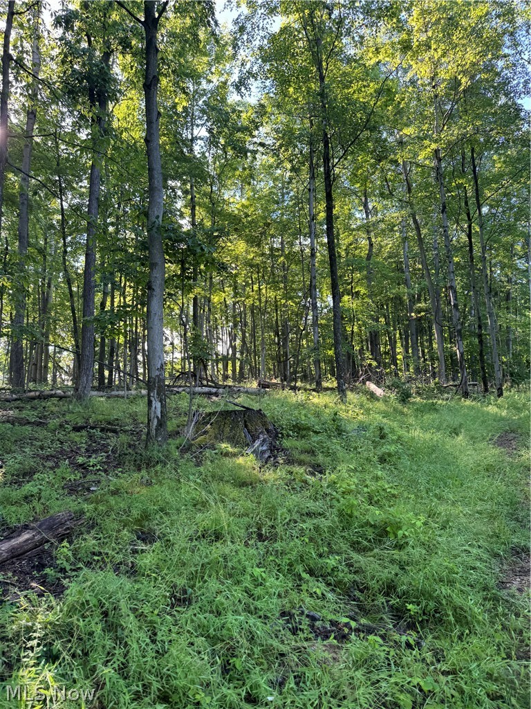 Stone Quarry Road Property Photo 23