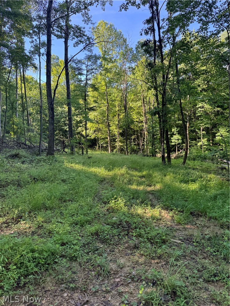 Stone Quarry Road Property Photo 24
