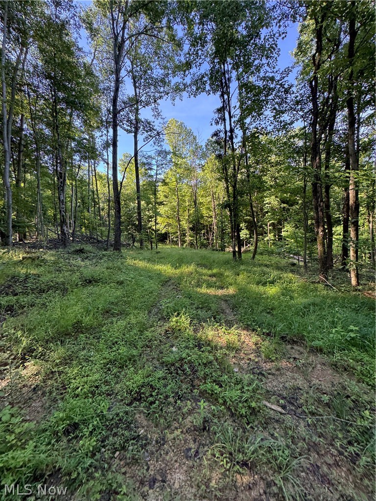 Stone Quarry Road Property Photo 25