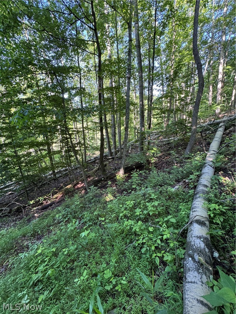 Stone Quarry Road Property Photo 26