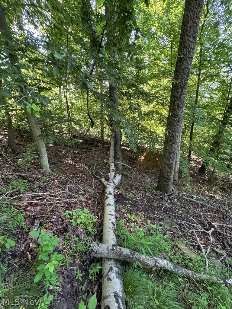 Stone Quarry Road Property Photo 27