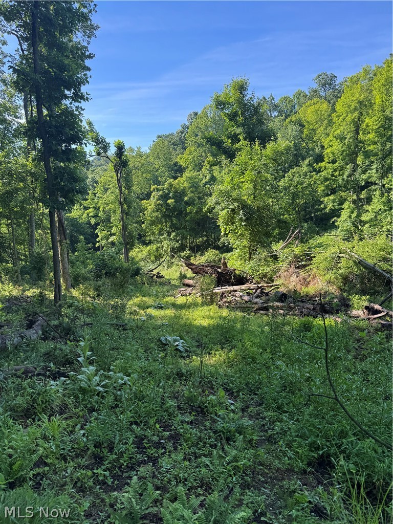 Stone Quarry Road Property Photo 28