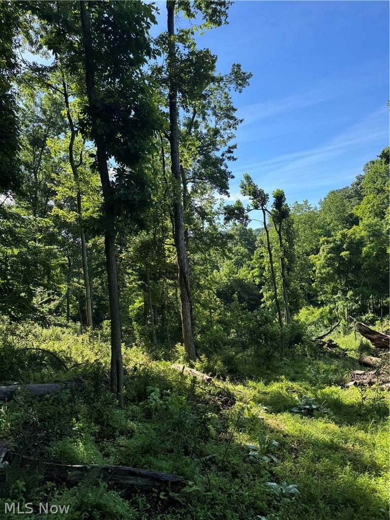 Stone Quarry Road Property Photo 29