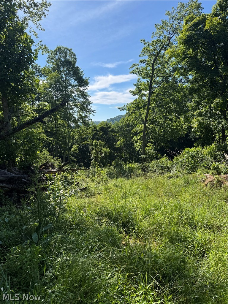 Stone Quarry Road Property Photo 30