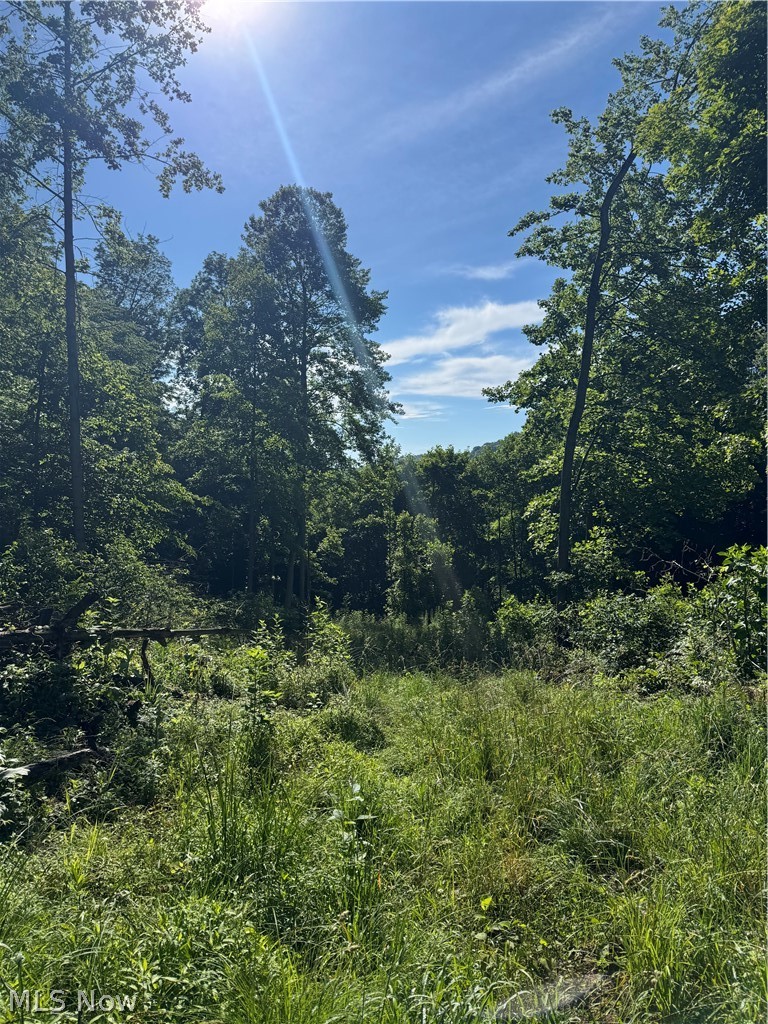 Stone Quarry Road Property Photo 31