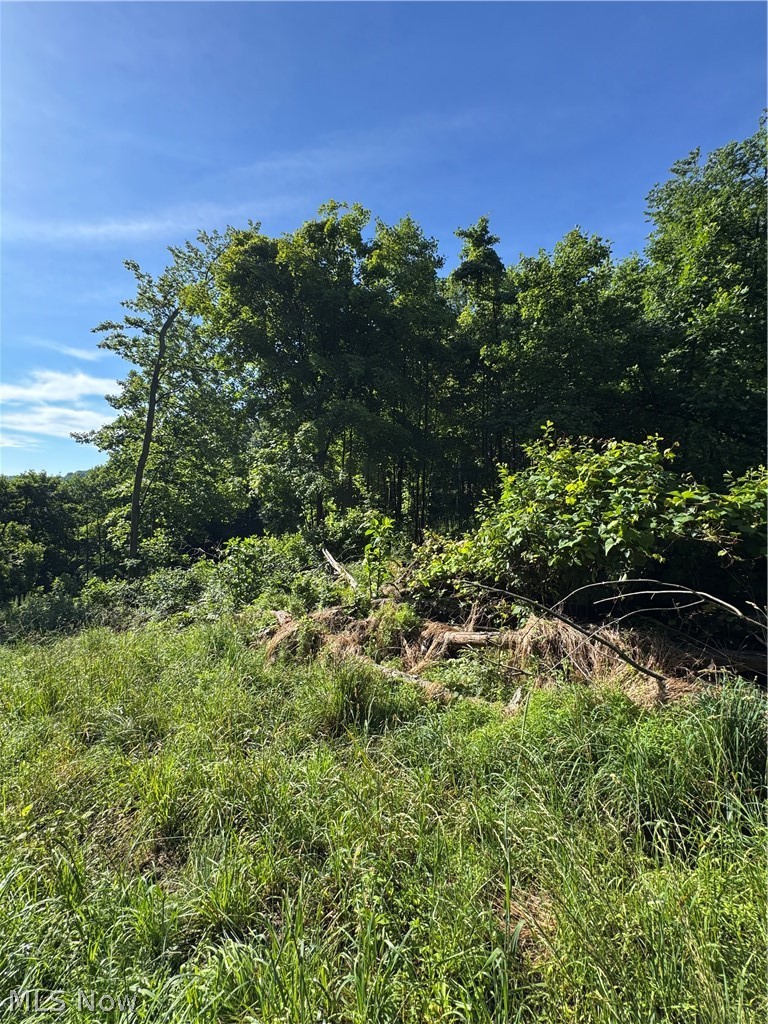 Stone Quarry Road Property Photo 32