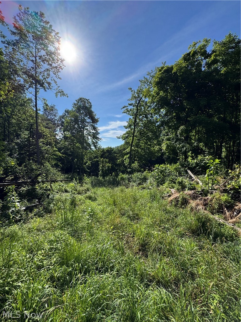 Stone Quarry Road Property Photo 33