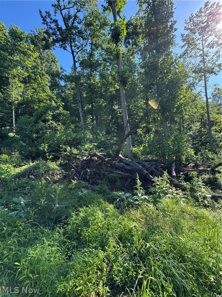 Stone Quarry Road Property Photo 34