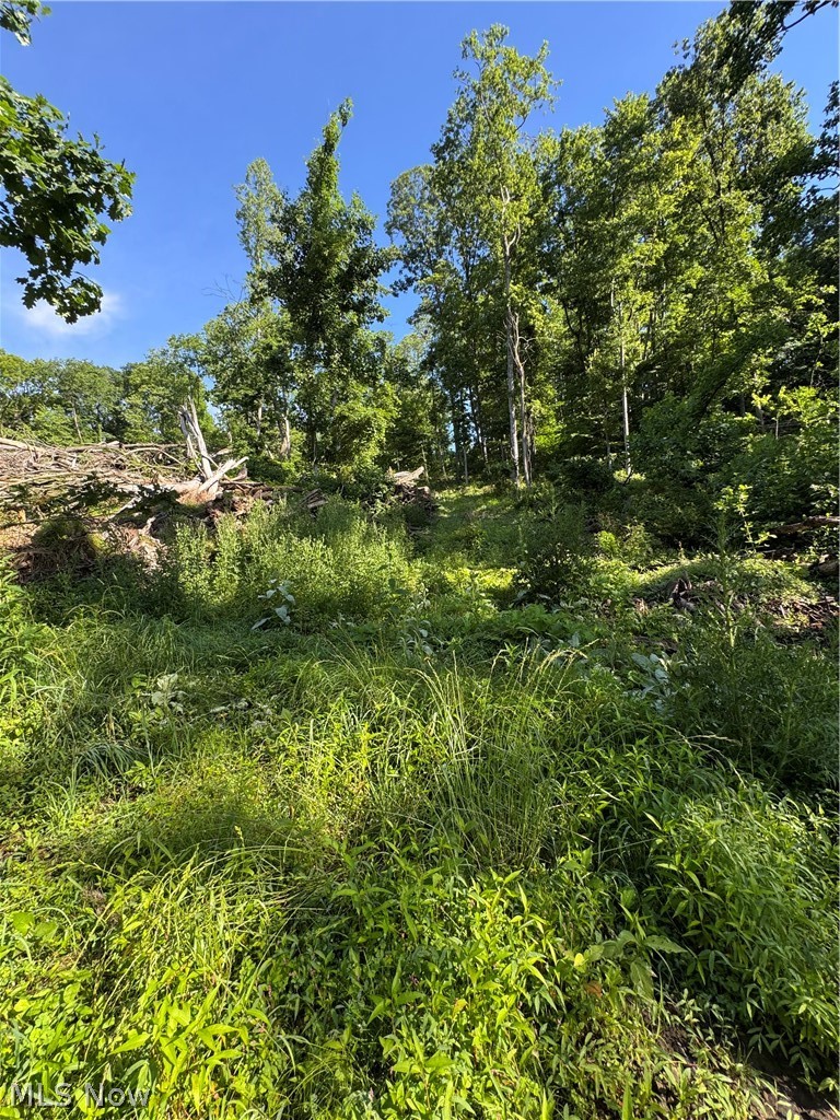 Stone Quarry Road Property Photo 35