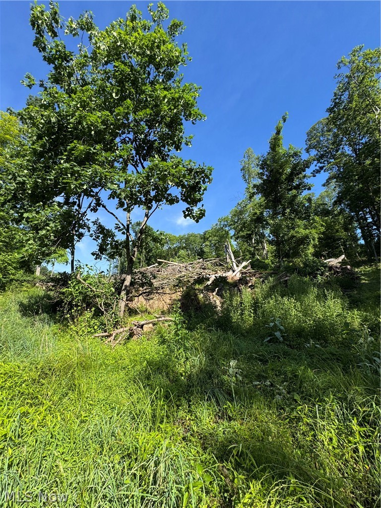 Stone Quarry Road Property Photo 36
