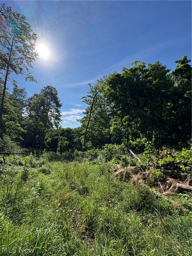 Stone Quarry Road Property Photo 37