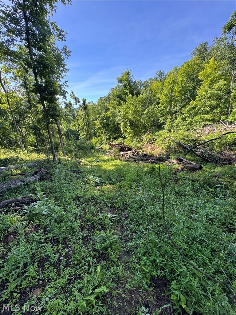 Stone Quarry Road Property Photo 38