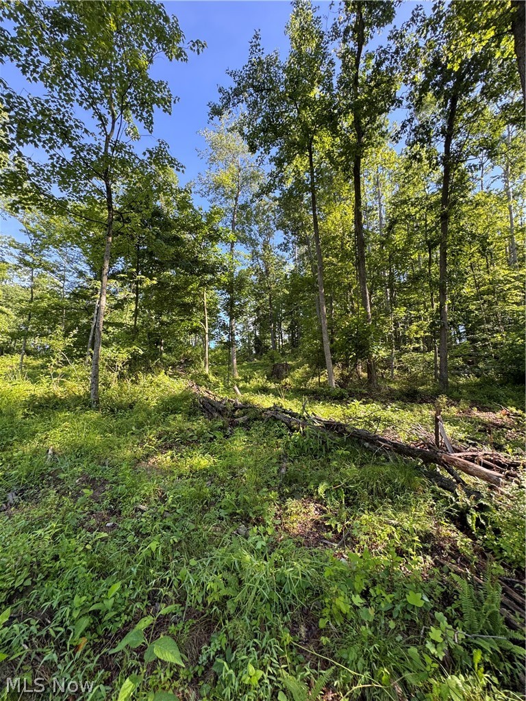 Stone Quarry Road Property Photo 39