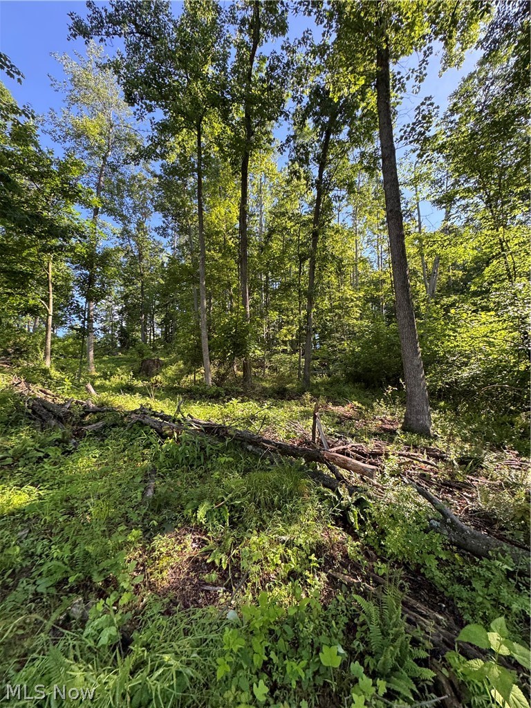 Stone Quarry Road Property Photo 40