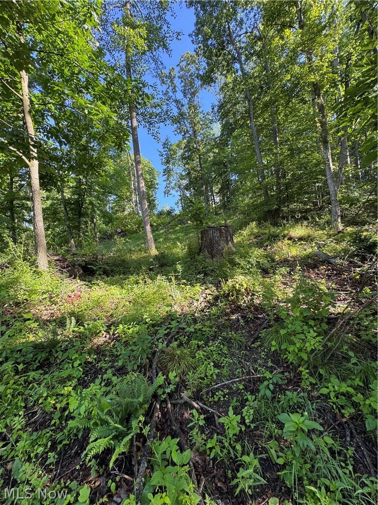 Stone Quarry Road Property Photo 41