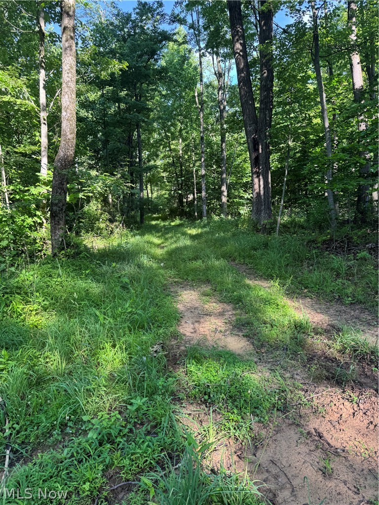 Stone Quarry Road Property Photo 42
