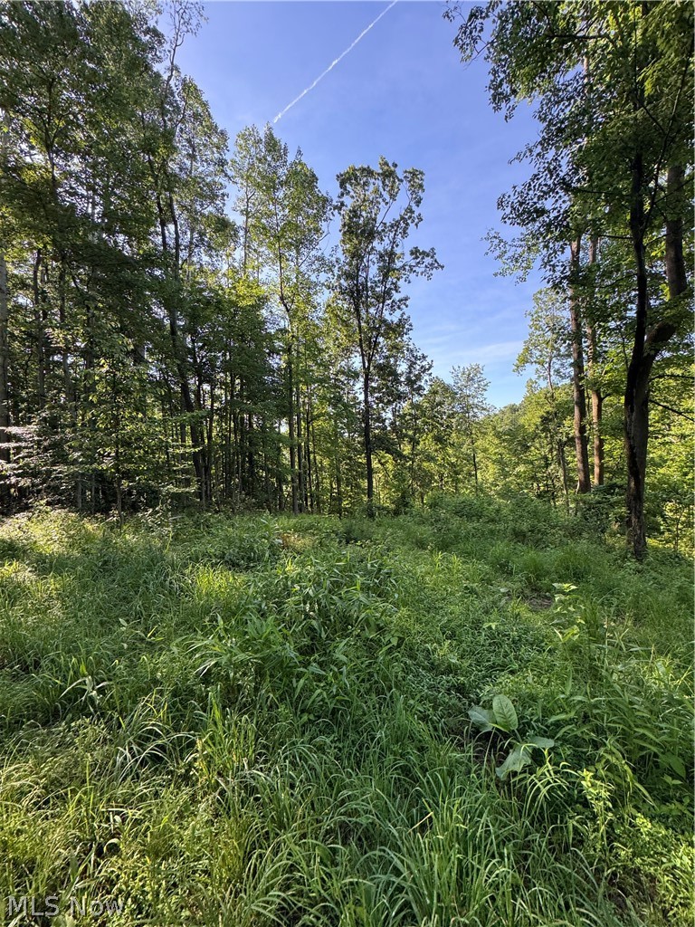 Stone Quarry Road Property Photo 43