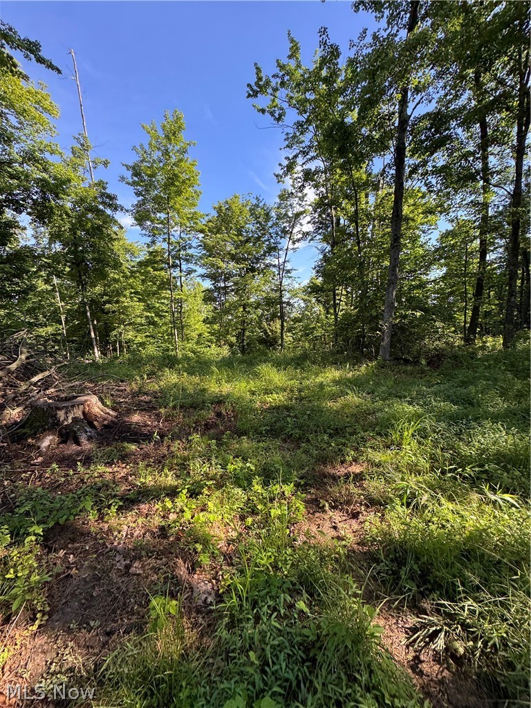 Stone Quarry Road Property Photo 44