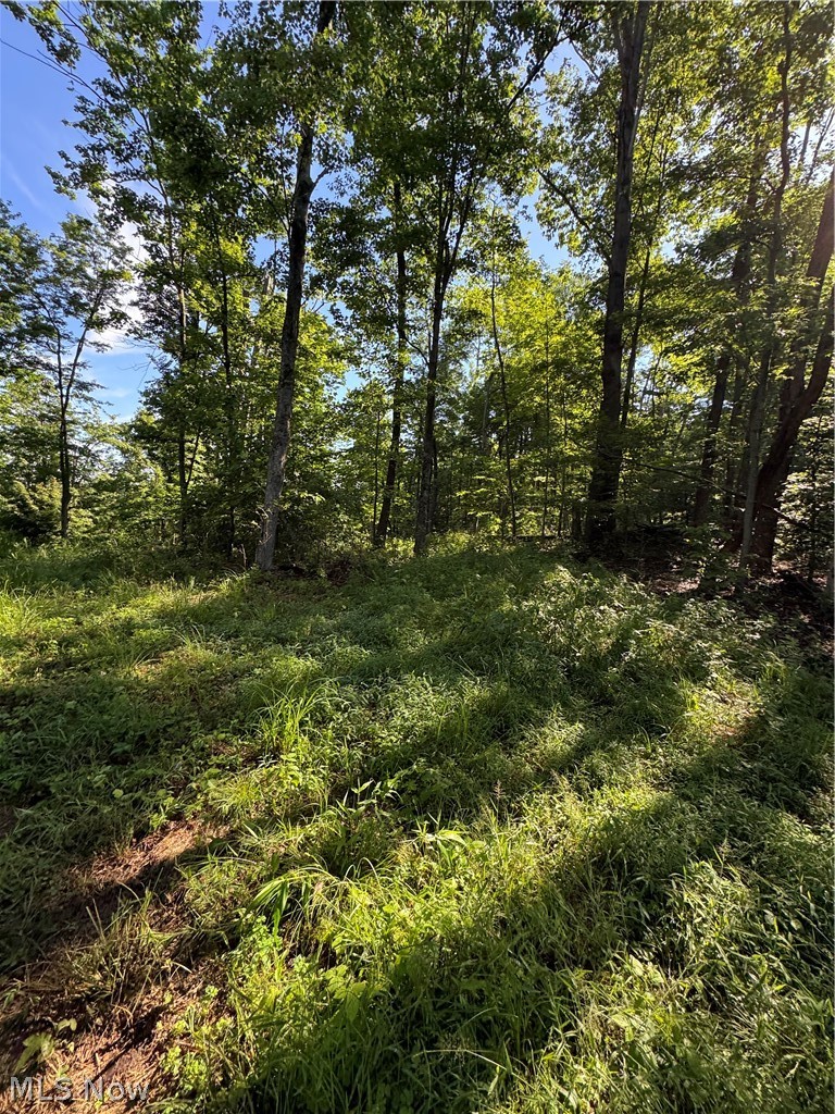 Stone Quarry Road Property Photo 45