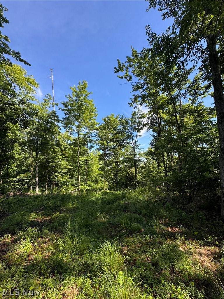 Stone Quarry Road Property Photo 46
