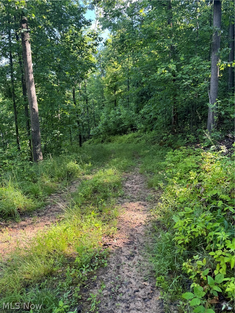 Stone Quarry Road Property Photo 47