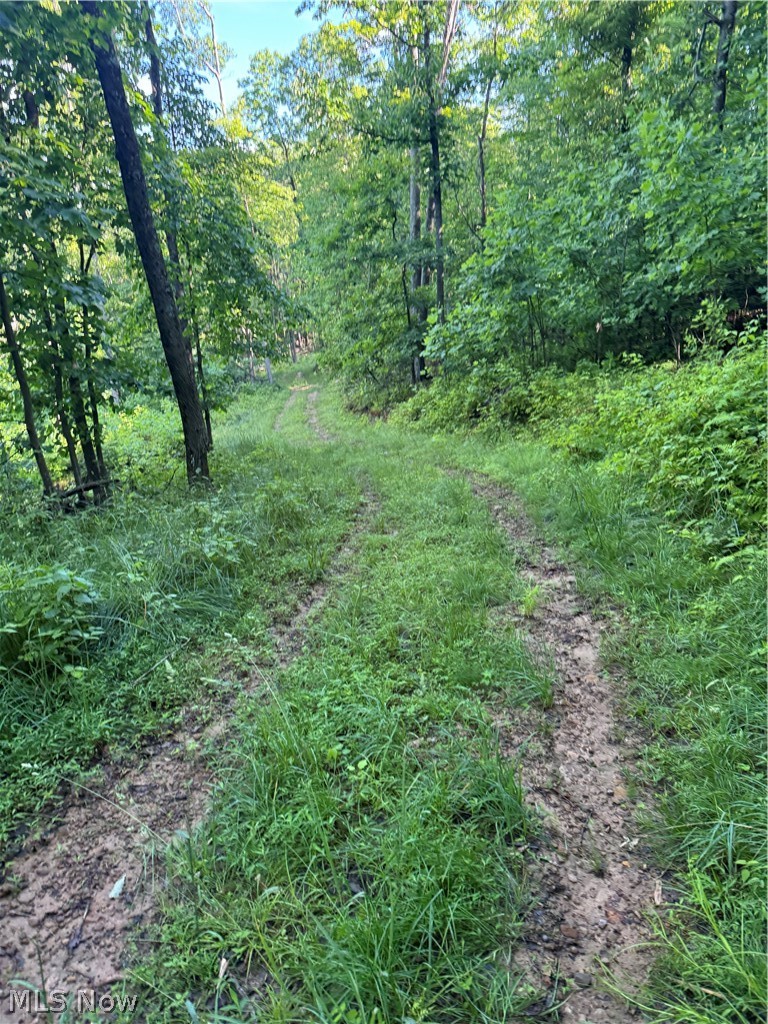 Stone Quarry Road Property Photo 48