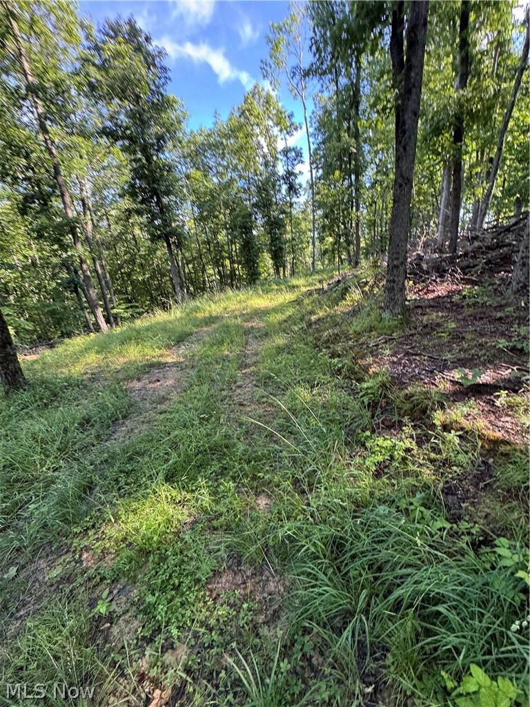 Stone Quarry Road Property Photo 49