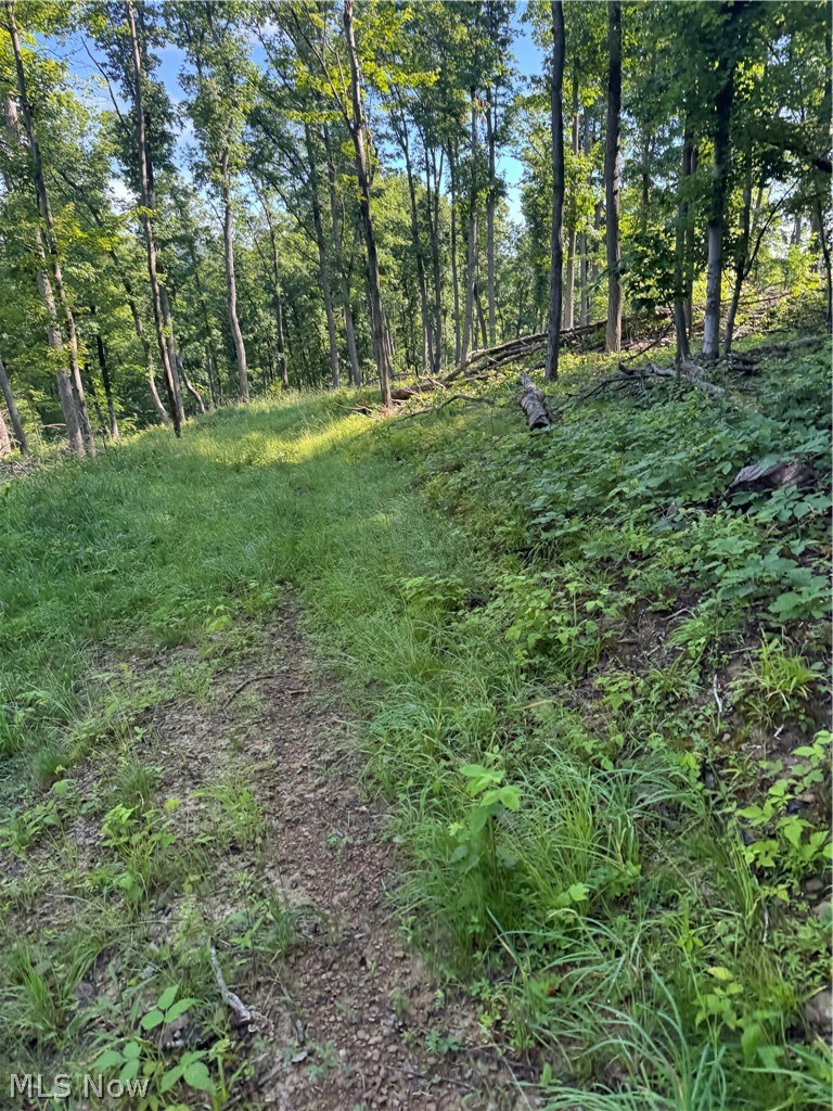 Stone Quarry Road Property Photo 50