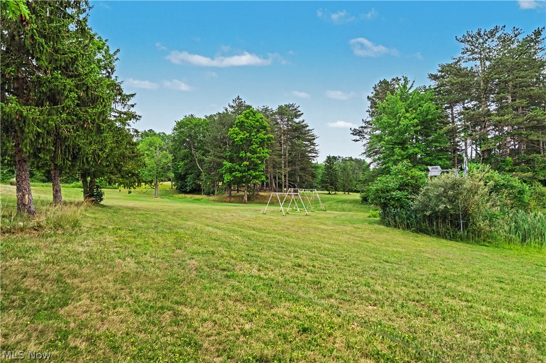 10036 Wilson Mills Road Property Photo 17
