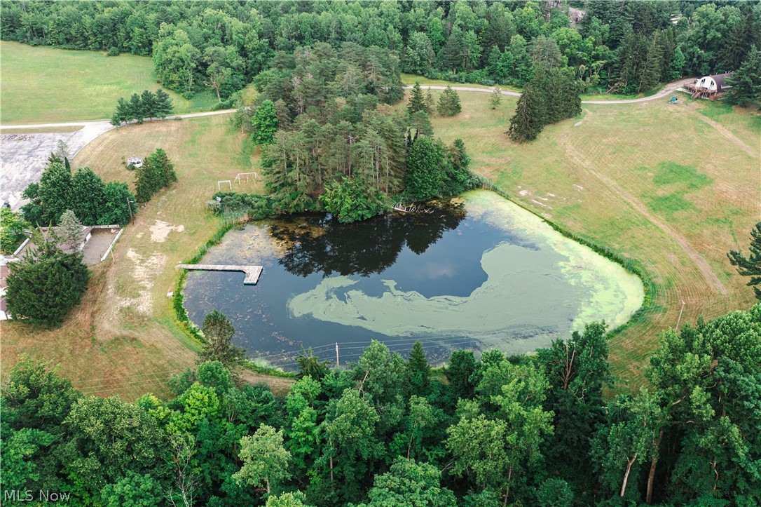 10036 Wilson Mills Road Property Photo 28